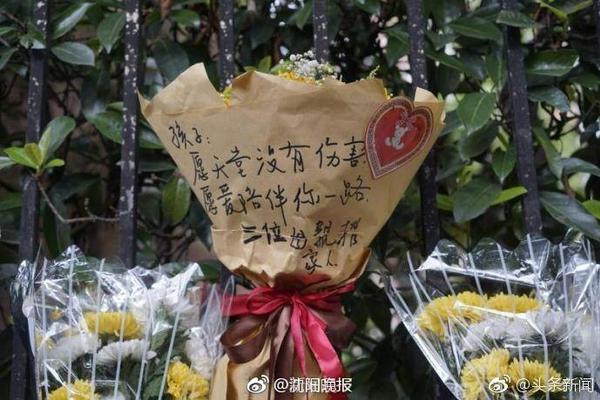 火箭高管：上赛季我们后场太挤 现在谢泼德正逐渐争取到轮换时间